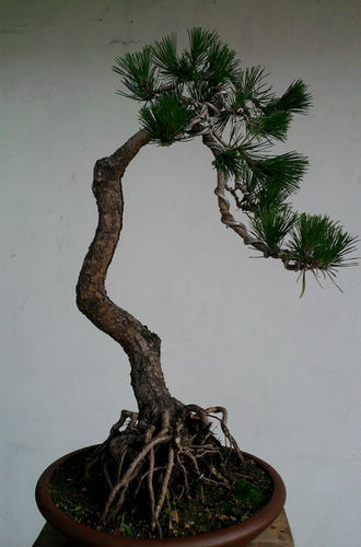 Ƭ-0140.jpg