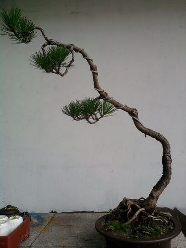 Ƭ-0143.jpg