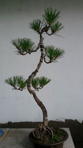 Ƭ-0144.jpg
