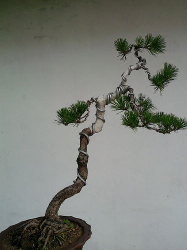 Ƭ-0146.jpg