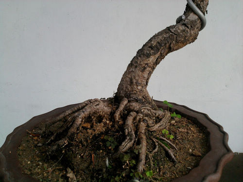 Ƭ-0147.jpg