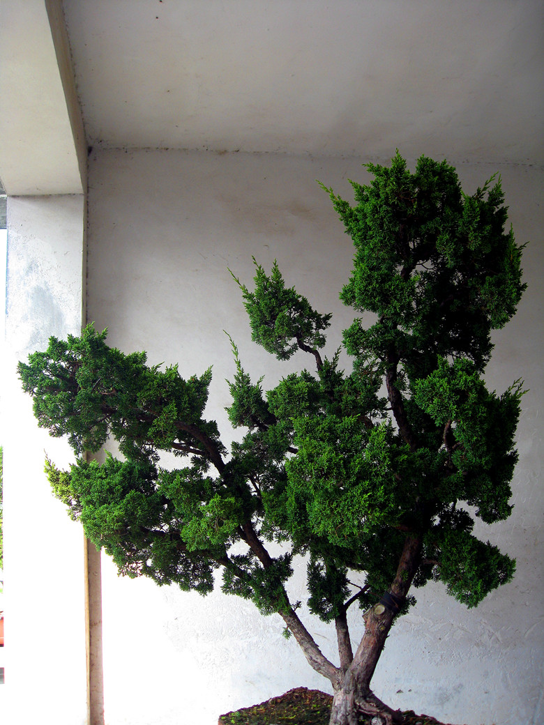 fengxian 103_.jpg