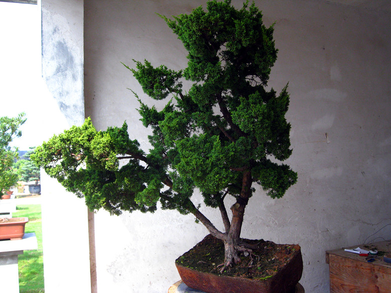 fengxian 105_.jpg