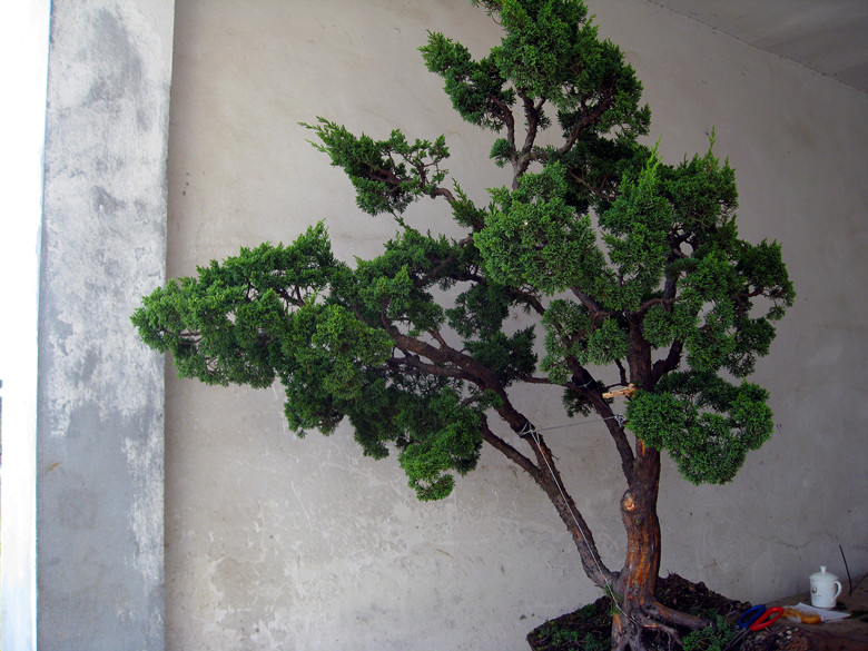 fengxian 110_.jpg