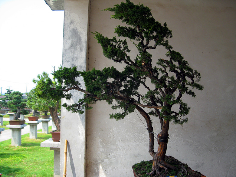 fengxian 128_.jpg