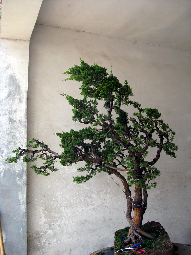 fengxian 130_.jpg