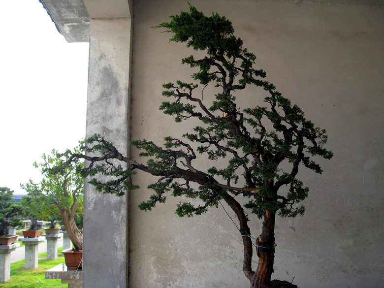 fengxian 133_.jpg