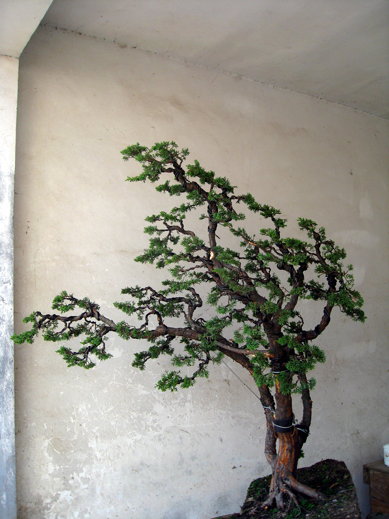 fengxian 135_.jpg