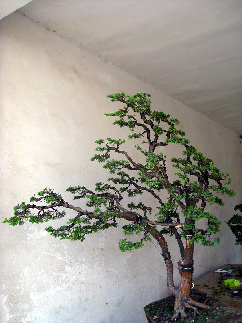 fengxian 136_.jpg