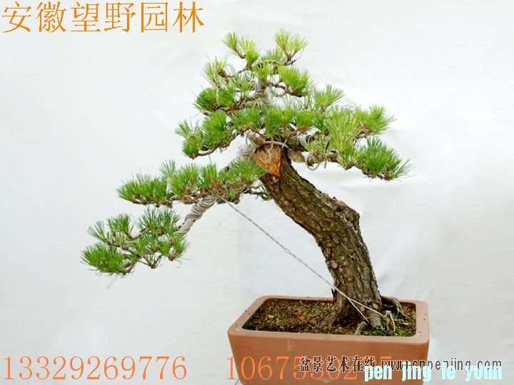 mxcp084017qj2ee61qu22t120g.jpg