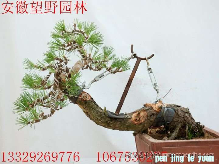 mxcp090243lh4107i10l02i400.jpg