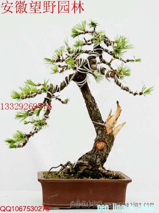 mxcp091222miif8fuyhpen0tmp.jpg