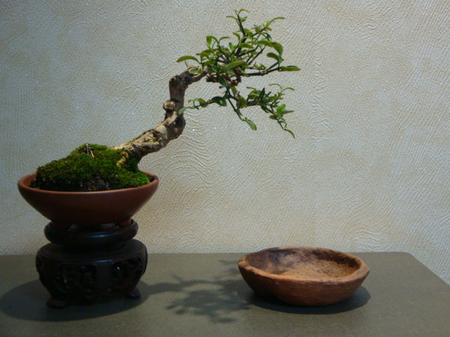 DSC00282.JPG