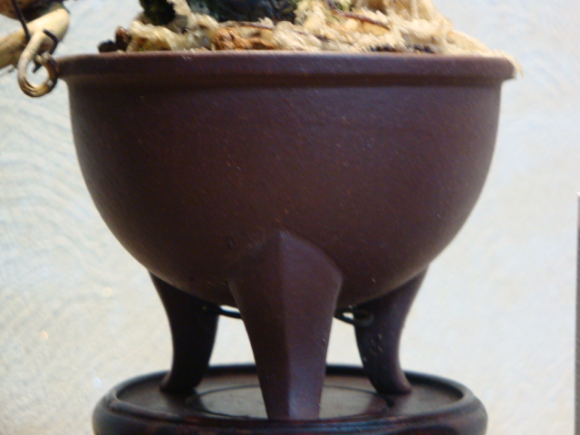 DSC00333.JPG