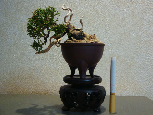 DSC00330.JPG