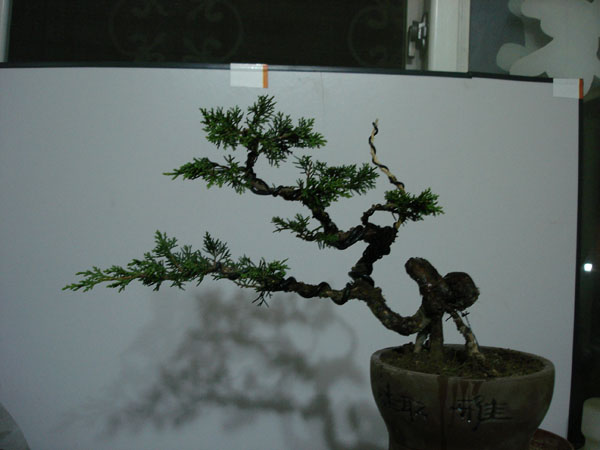 DSC01728.jpg