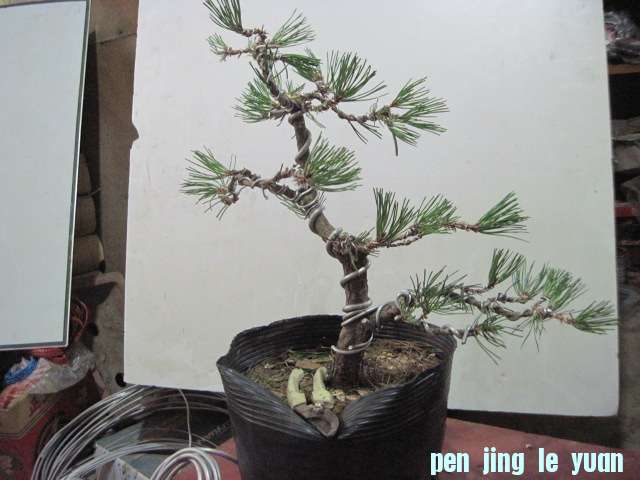2012-09-14 003.jpg