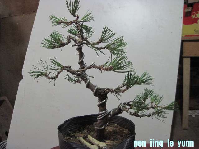 2012-09-14 004.jpg