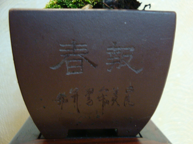 DSC00293.JPG