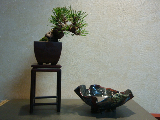 DSC00287.JPG