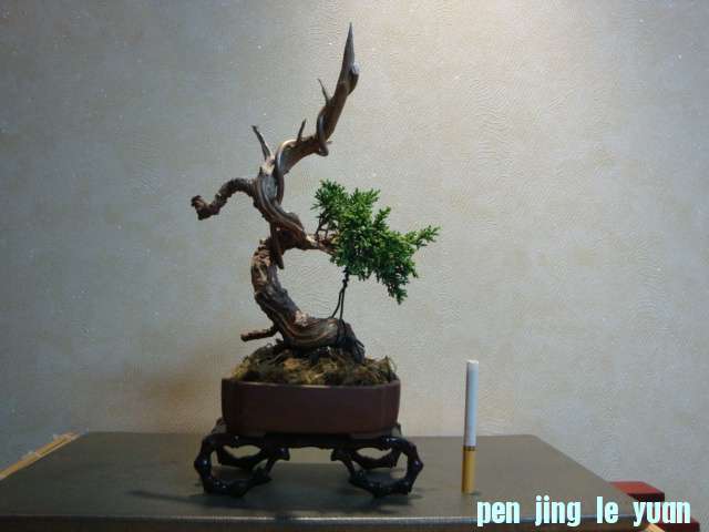 DSC00359.JPG