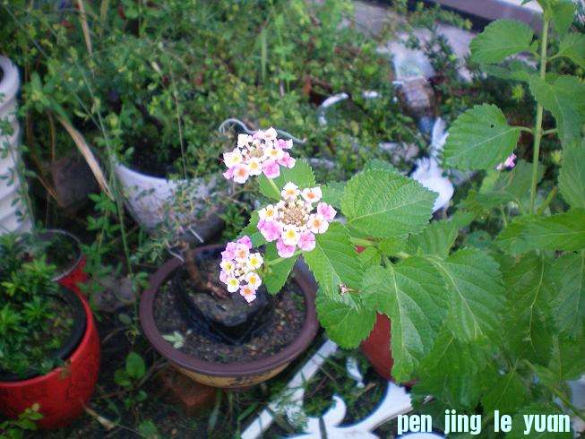 100_0305.JPG