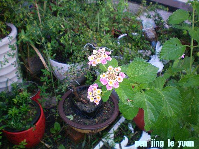 100_0306.JPG