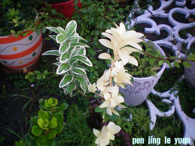 100_0307.JPG