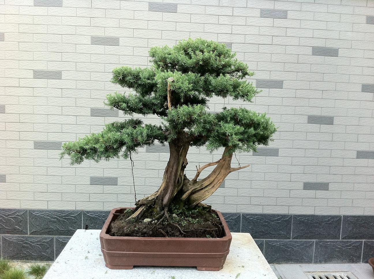 20120818̰ 002.jpg