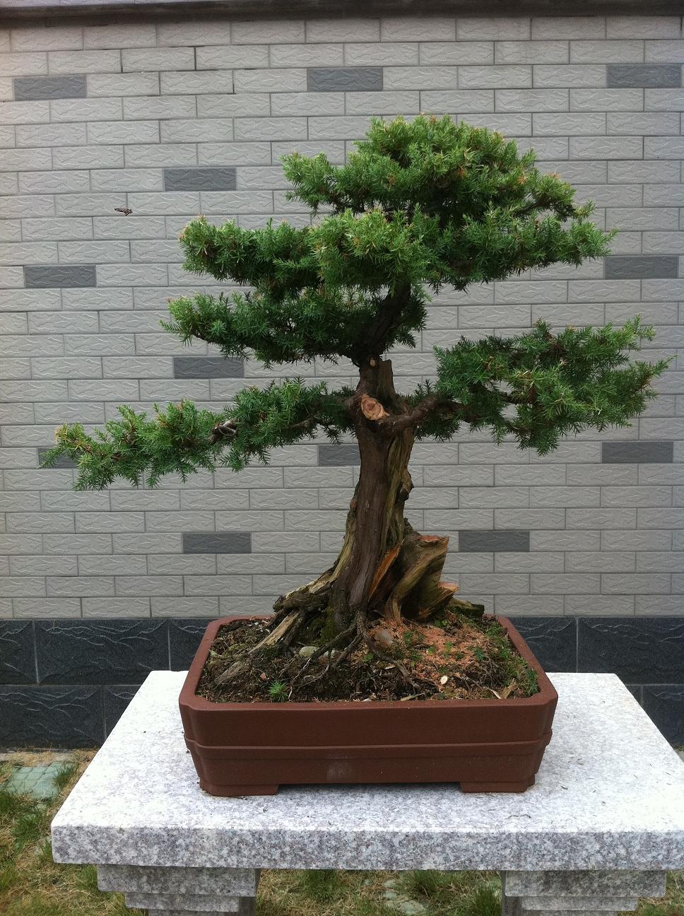 20120914̰.jpg