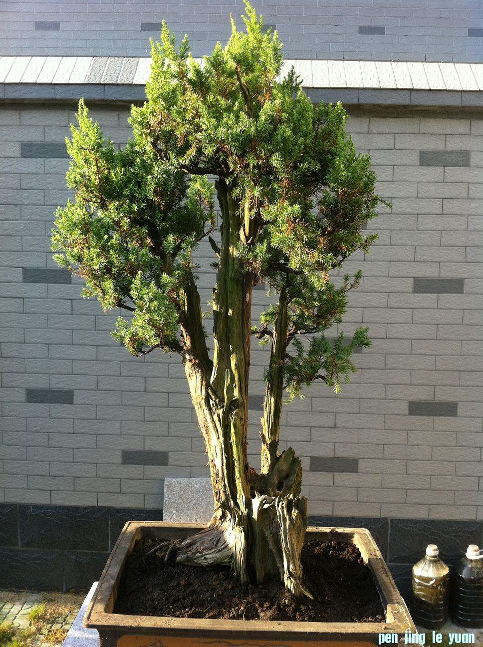 20120915̰.jpg