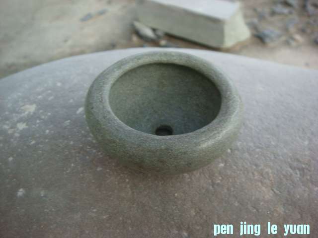 DSC04533.JPG
