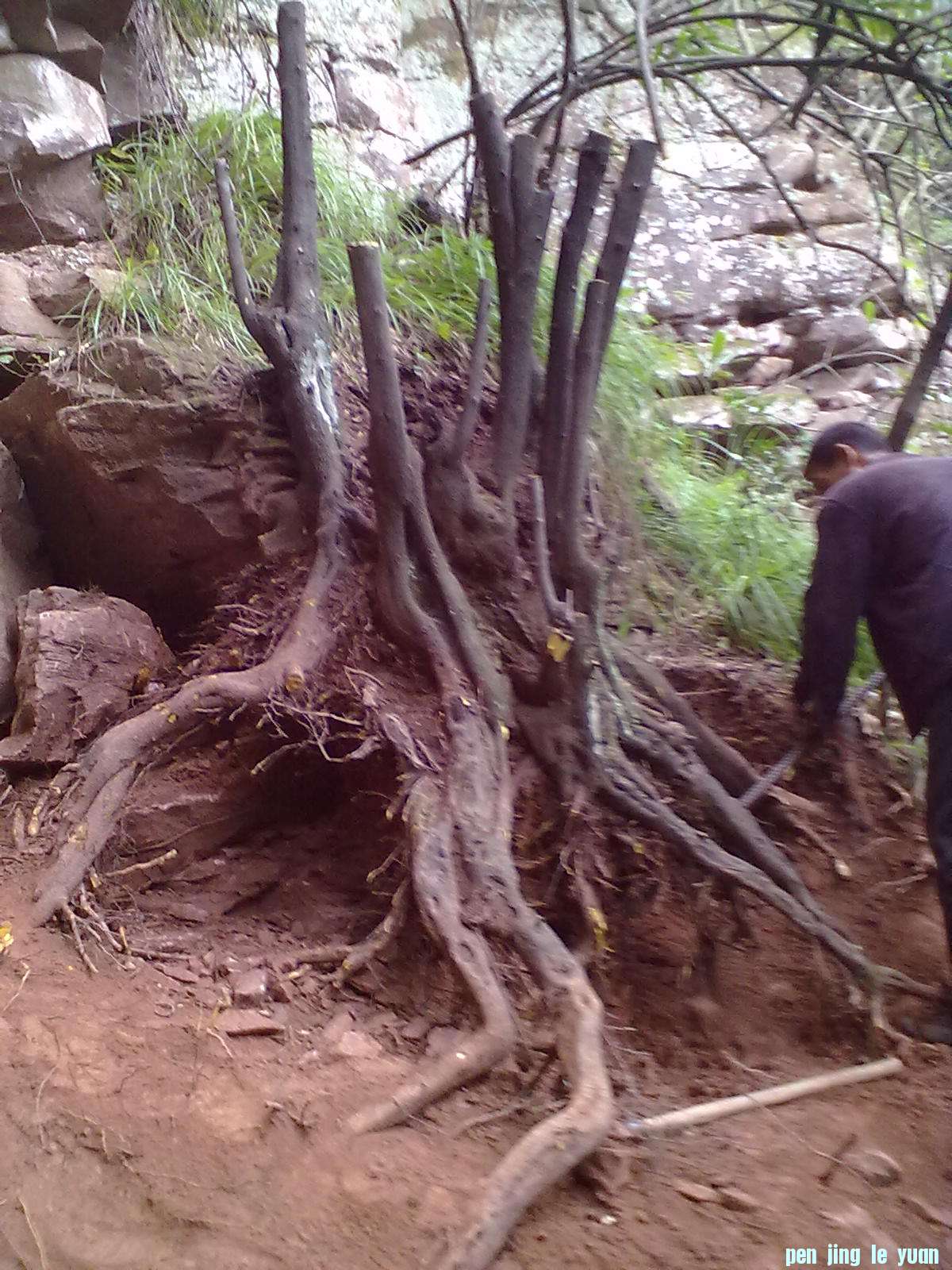 20120916200.jpg