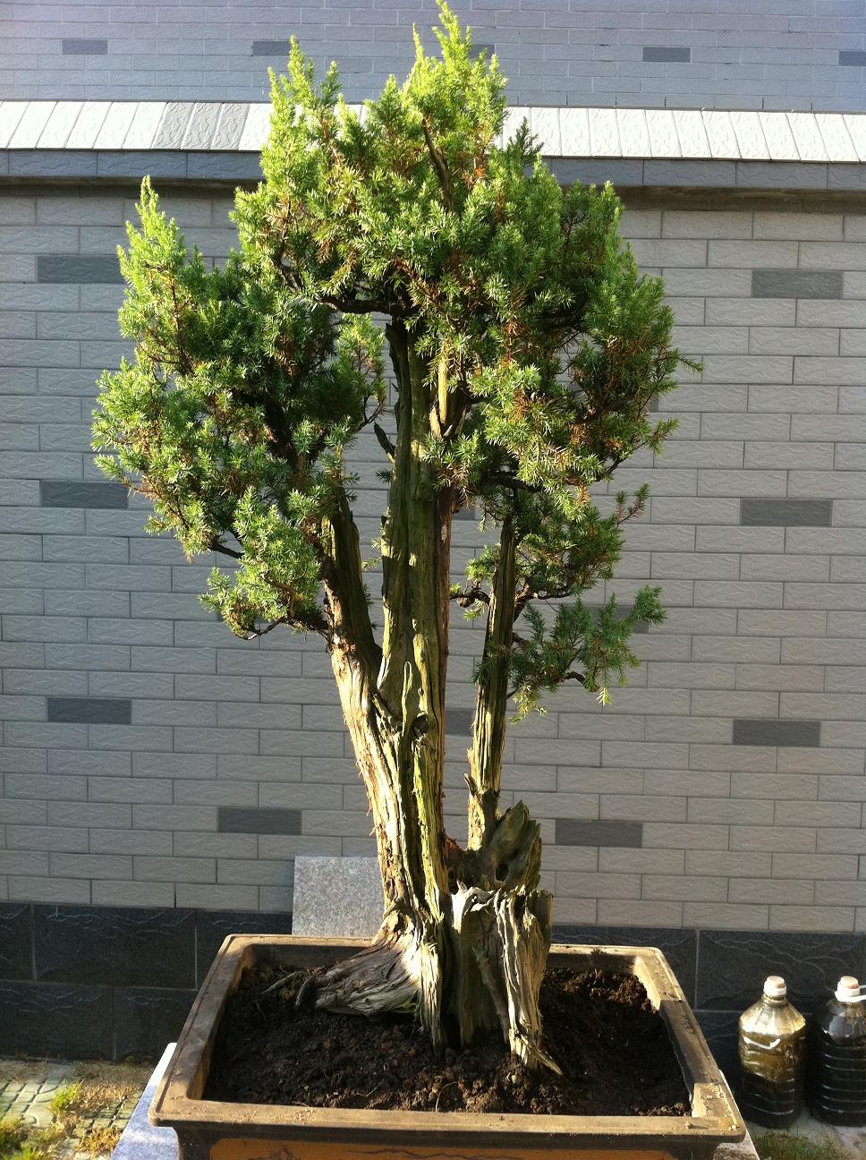 20120917̰ 001.jpg