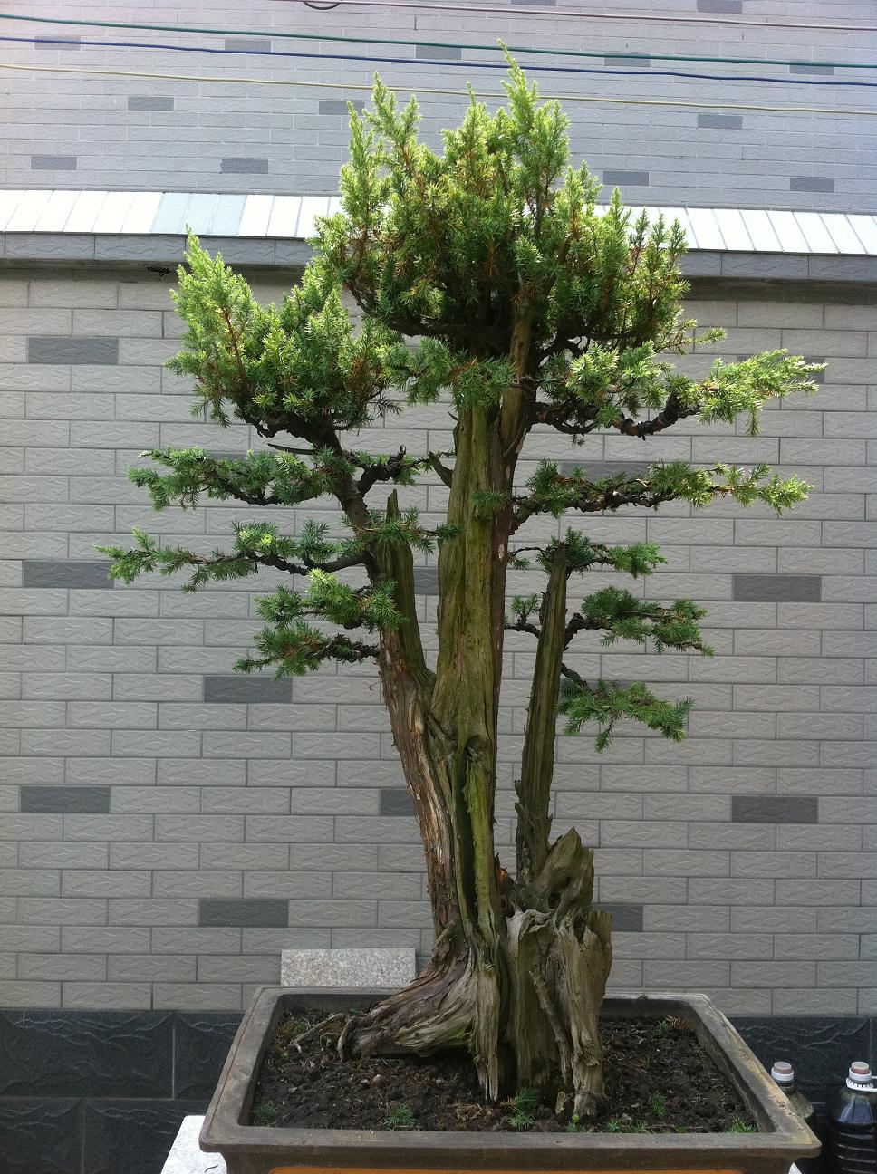 20120917̰ 004.jpg