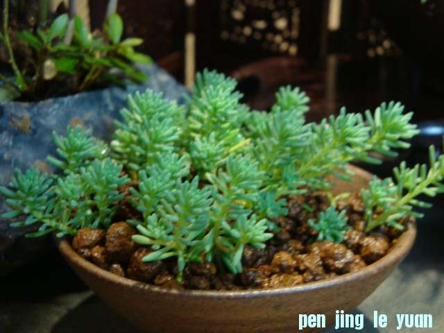 DSC00374.JPG