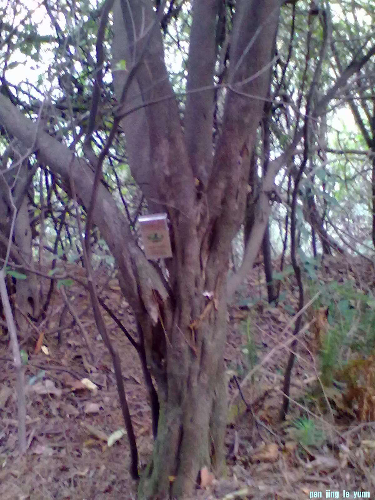 20120917228.jpg