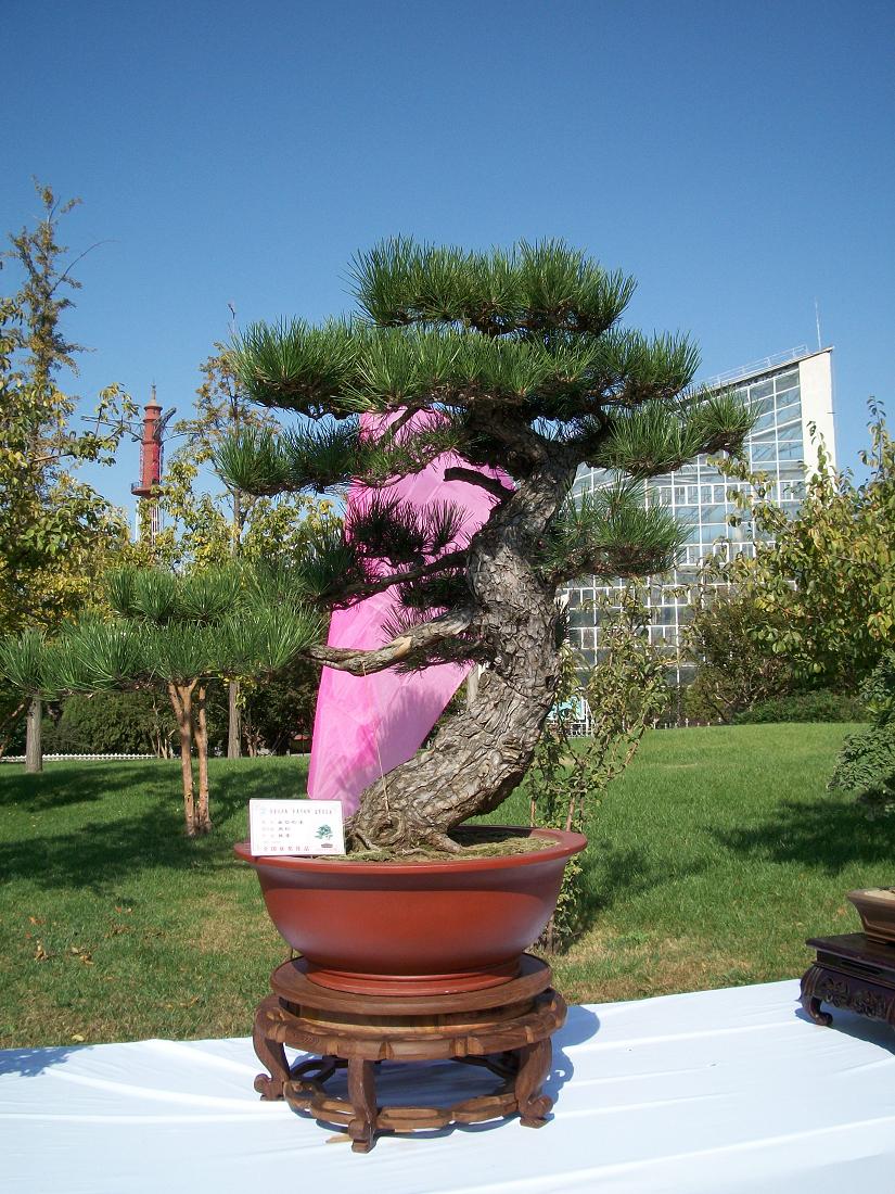 100_0266.jpg