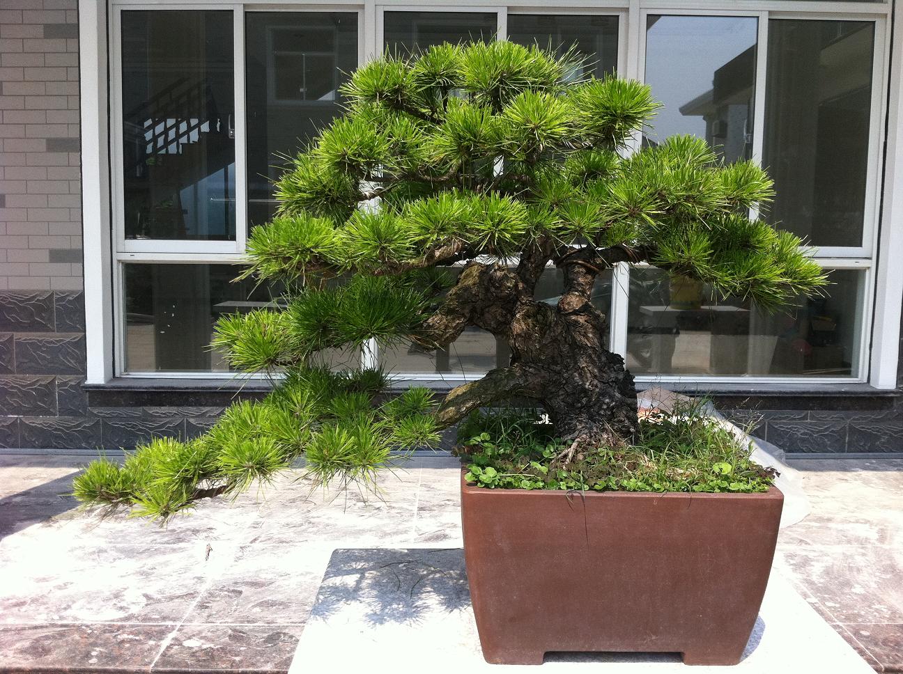 20120919.jpg