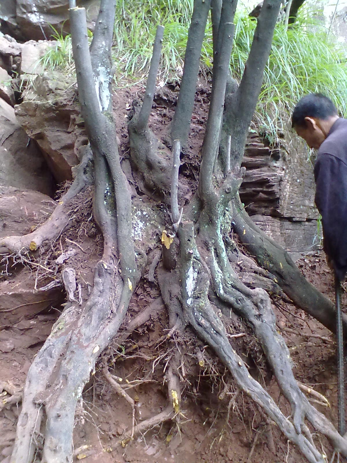 20120916201.jpg
