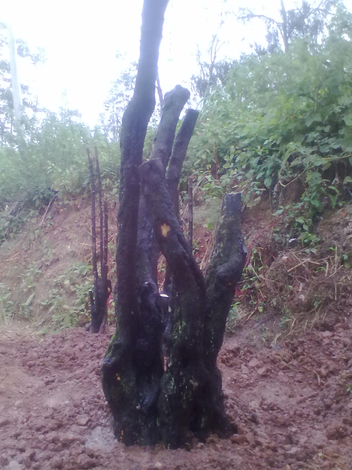 20120918254.jpg