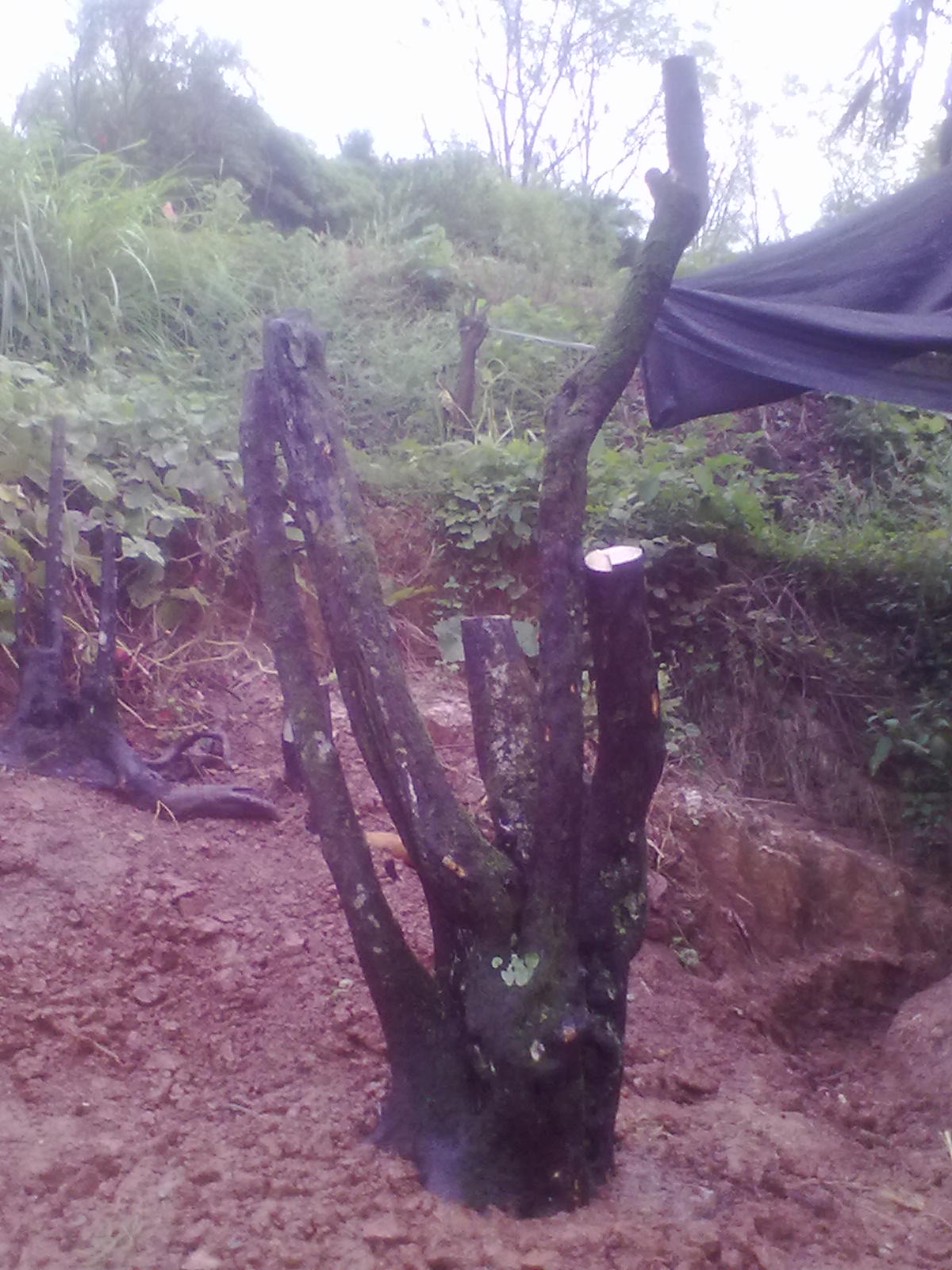20120918255.jpg