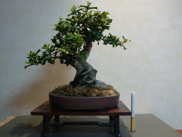 DSC00364.JPG
