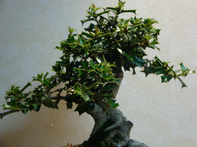DSC00365.JPG