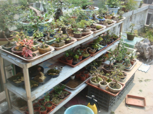 DSC04843.JPG
