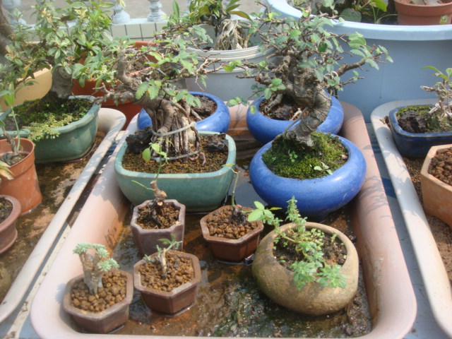DSC04824.JPG