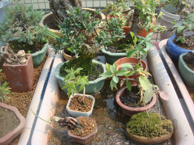DSC04825.JPG