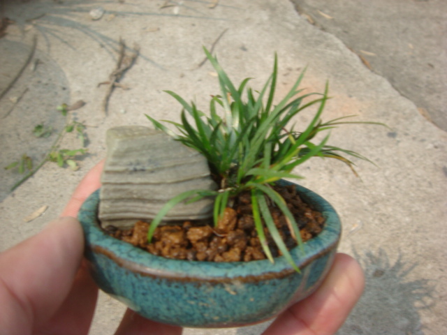 DSC04842.JPG