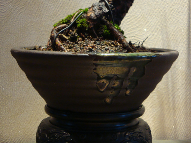 DSC00450.JPG