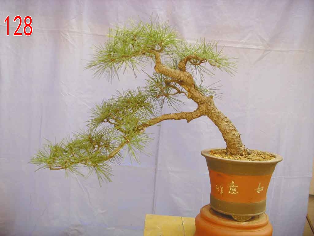 黳70357  .jpg